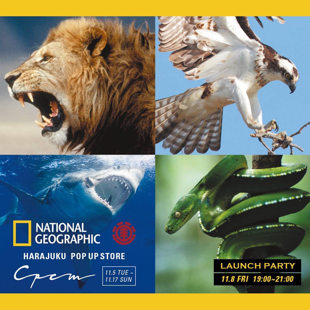 NATIONAL GEOGRAPHIC × ELEMENT